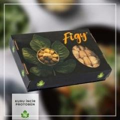 Kuru İncir - Protoben