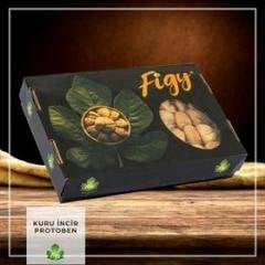 Kuru İncir - Protoben