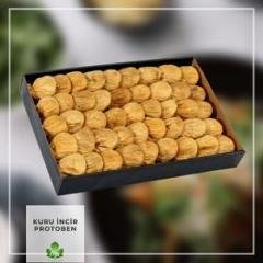 Kuru İncir - Protoben