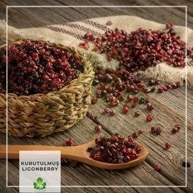 Kurutulmuş Lingonberry (Şekersiz)